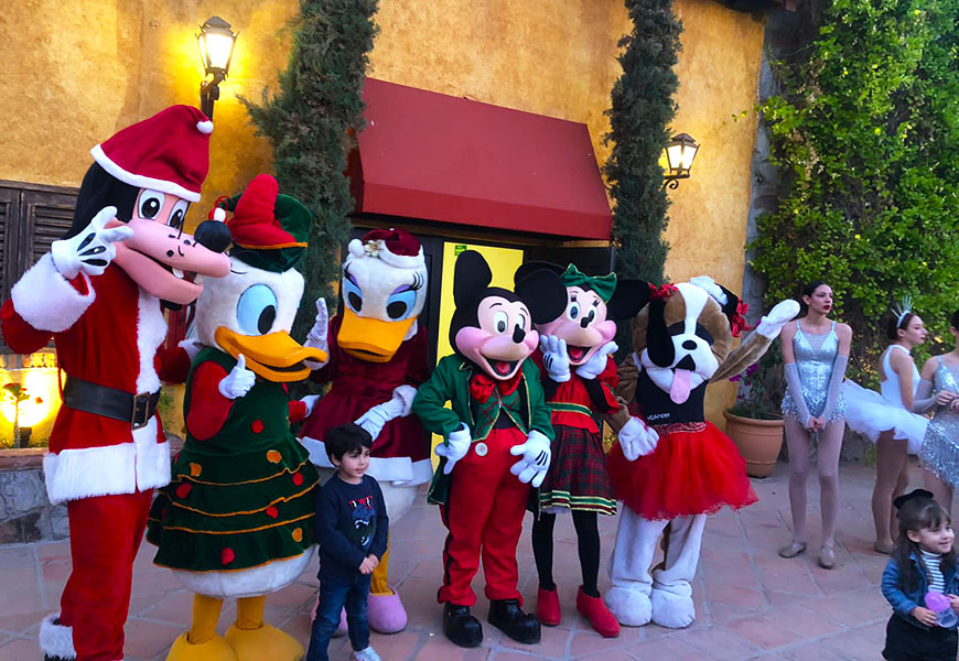 Disney Navideño - Diverticarts